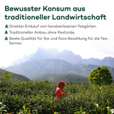 Mléčný čaj Oolong z Alishanu, Tchaj-wan | Jin Xuan Milky Oolong vysoce kvalitní 100% přírodní neochucený (100 g)