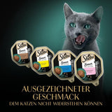 Sheba Sauce Collection Tác Multipack, kvalitní odrůda MSC, 4x12x85g