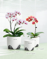 Květináč na orchidej s drenážními otvory pro přesazování, výborná cirkulace vzduchu, 2 kusy, dvouvrstvý plast, keramický květináč na orchidej, průhledný květináč na orchidej, dekorativní