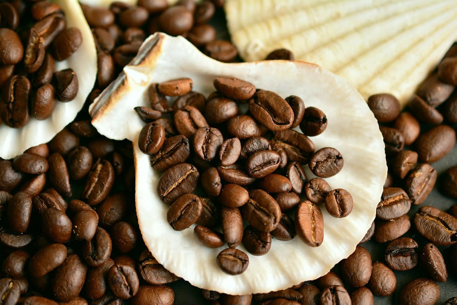 Kaffeespezialität Aus Mittelamerika - Guatemala, Dem Land Der Maya (Ganze Bohne, 1000 gramů) - Länderkaffee - Spitzenkaffee - Säurearm - Schonend Und Frisch Geröstet