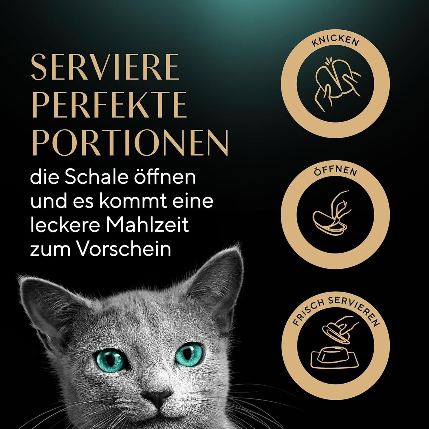 SHEBA Perfect PORTIONS omáčka pro kočky s krůtím masem 8 x 3 x (2 x 375 g)