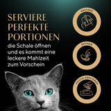 SHEBA Perfect PORTIONS omáčka pro kočky s krůtím masem 8 x 3 x (2 x 375 g)