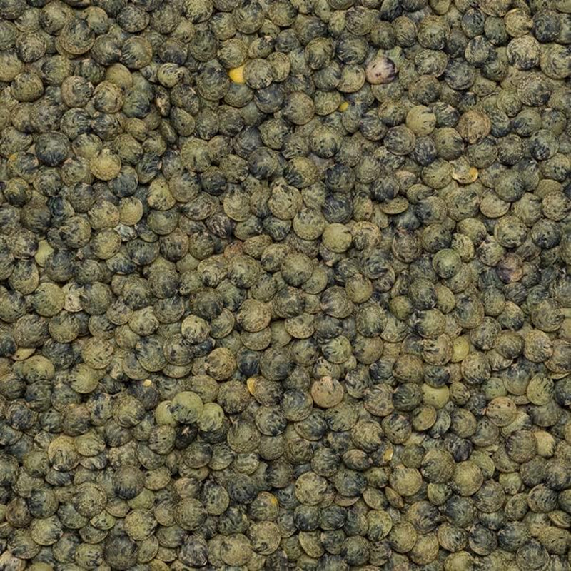 Wholefood Earth Organic French Style Tmavě zelená čočka 1kg Non-GMO | Vegan | Bohaté na vlákninu | Bohaté na bílkoviny | Certifikované organické