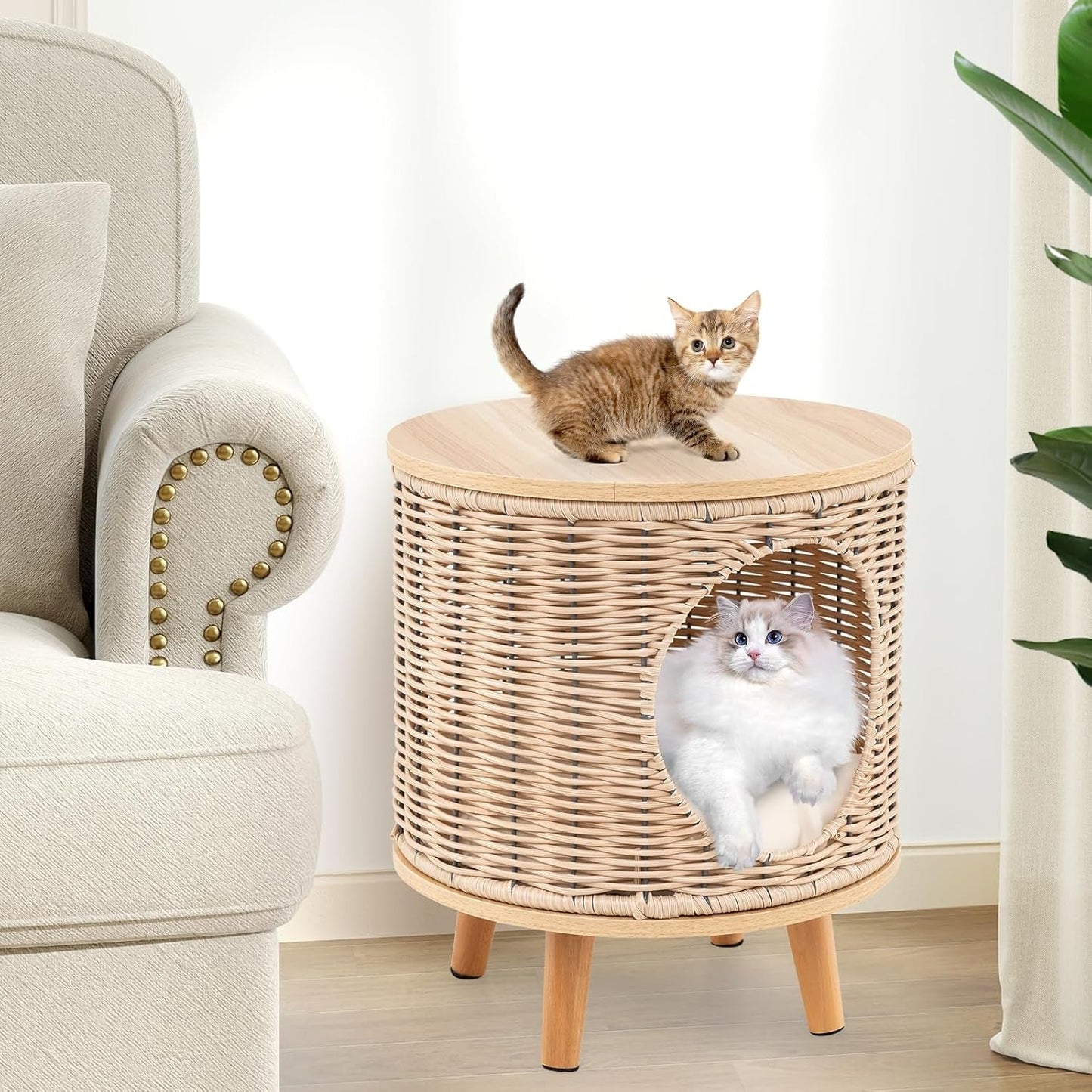 Katzenhaus Rattan, Katzenmöbel mit Holzbeinen & soft Kissen, 3v1 Katzenhöhle Fußhocker Nachttisch, Katzenbett stabil bis 30 kg für Wohnzimmer Schlafzimmer