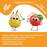 FRECHE FREUNDE Bio vymačkatelné ovocné sáčky Jablko Skořice Hruška Rýže Špaldová ovocná kaše s cereáliemi pro děti 6 měsíců+ Vegan 6 balení (6 x 100 g)