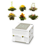 Feelino Elegant 6dílná smíšená krabička - Feelino White Tea Flowers v nádherné ochutnávkové a dárkové krabičce se 6 různými bílými čajovými růžemi, jednotlivě vakuově balené, balení 1 kus