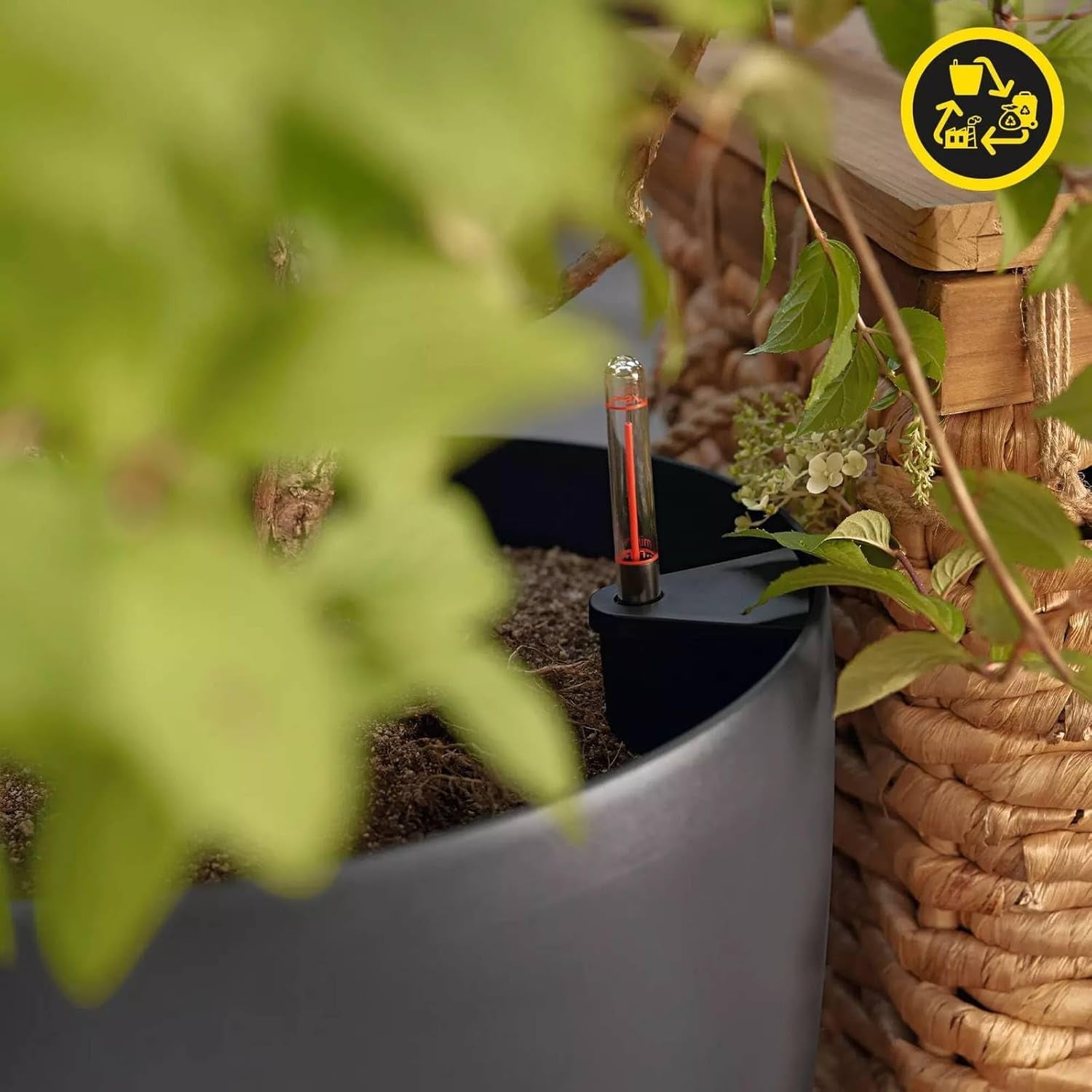 Květináč LECHUZA Classico Color ECO 60 Tmavě šedá | Květináč se zavlažovacím systémem a ukazatelem hladiny vody | Vyrobeno ze 100% recyklovaného plastu | Matný povrch | Ø 60 x 55,5 cm | 18955
