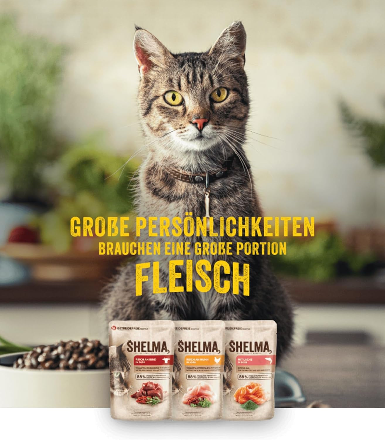 Shelma Katzen-Nassfutter mit Lachs in Sauce und Spirulina – Getreidefreies Alleinfuttermittel mit Hohem Fleischanteil – 28 x 85 g (2,4 kg)