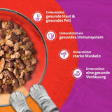 WHISKAS Duo sáčky na mokré porce jídla, více balení, klasická kombinace v želé, 12 x 85 g