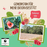 Neslazená kaše z fíků a malin Allos | Kaše bez cukru | Bio müsli | Müsli s ovocem | Ovesné vločky | Kaše k snídani | Cereálie k snídani | Vegan | Balení po 6 kusech (6 x 500 g)