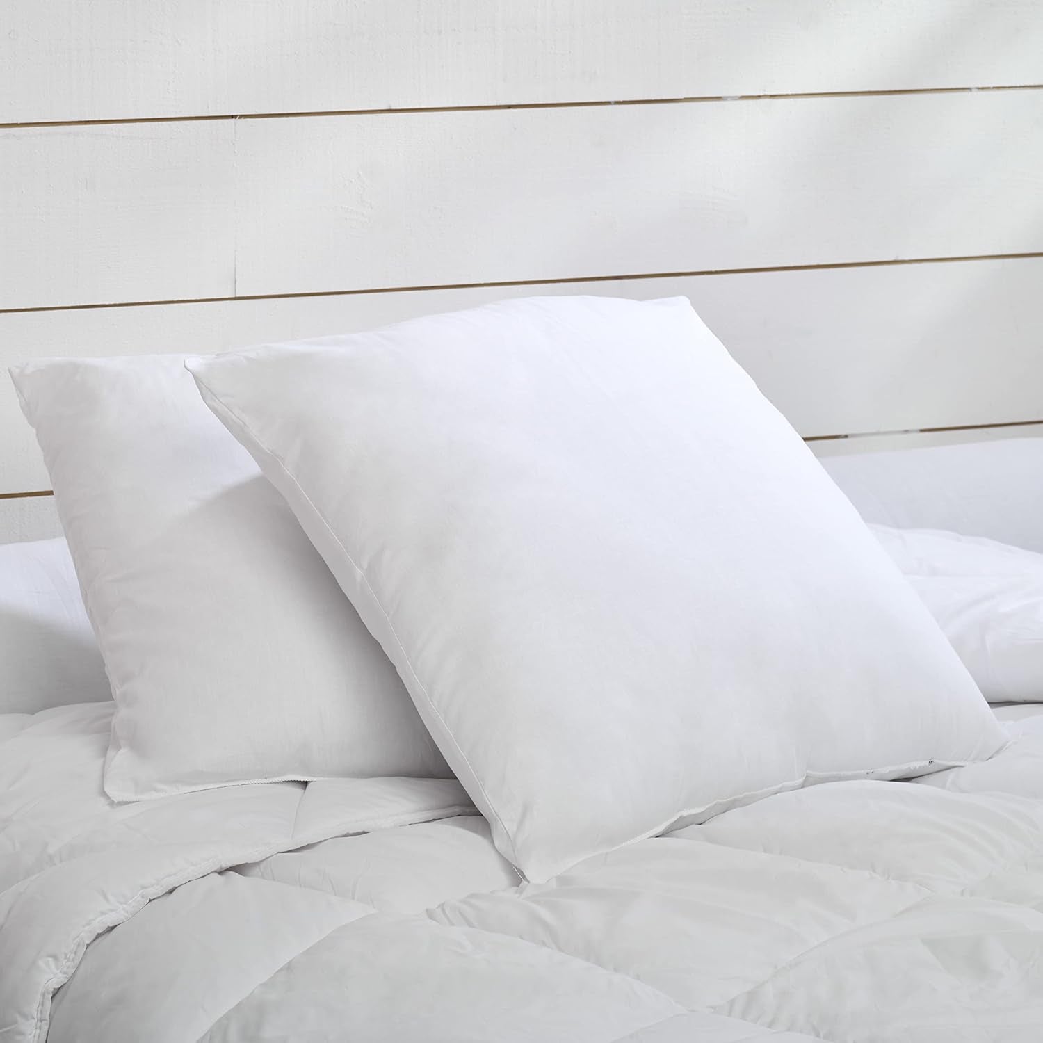 Modrá Câlin sada 2 polštářů s pevným komfortem "Alaska", super výplň, obálka 100% bavlna, perkál, bílá, 65 x 65 cm čtvercový tvar Naty Shop standardní polštáře čtvercový tvar 65 x 65 cm