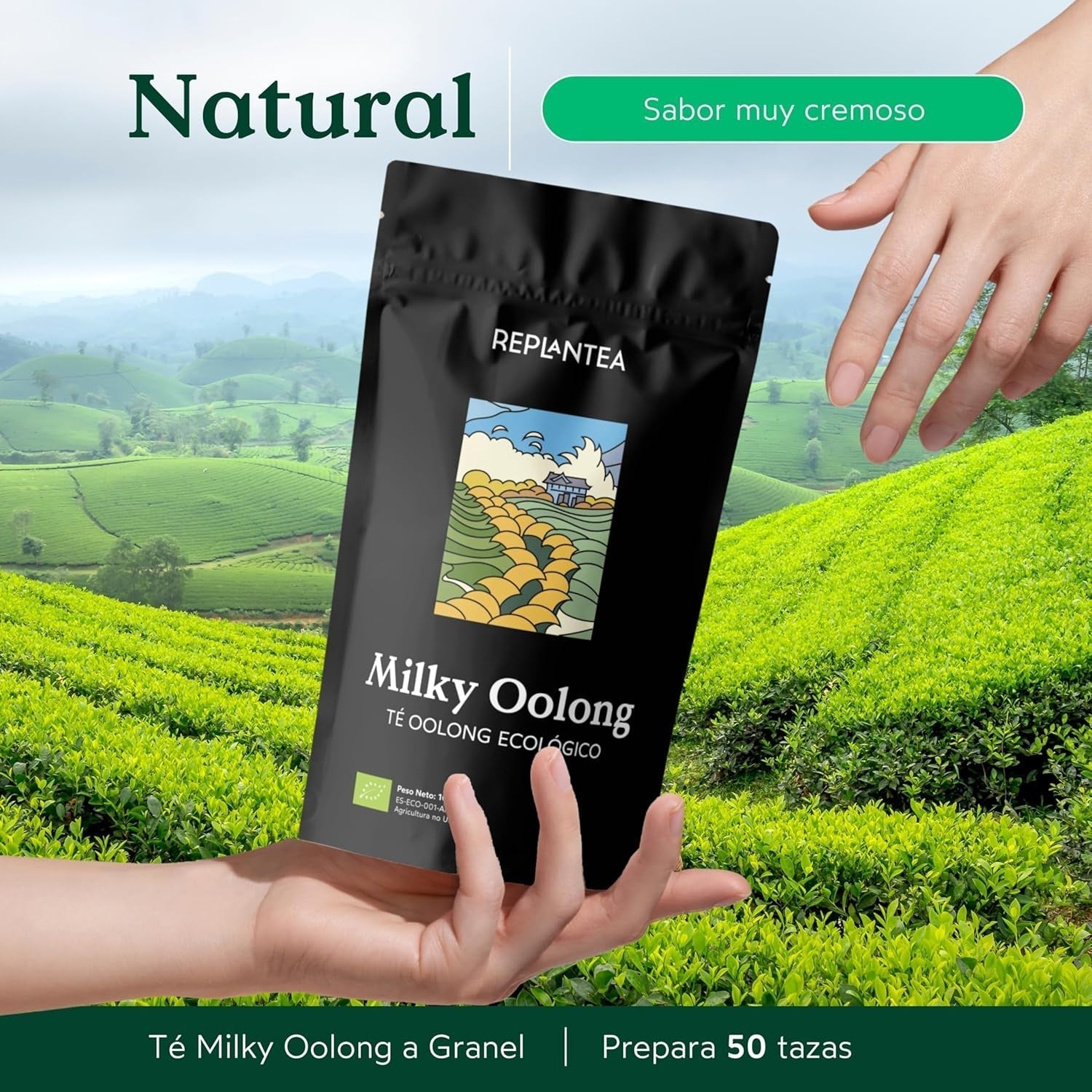 BIO čaj Milky Oolong (100 g) | Prémiový sypaný čaj Oolong se smetanovými a sladkými mléčnými tóny | Delikátní čajová specialita | PŘESADIT