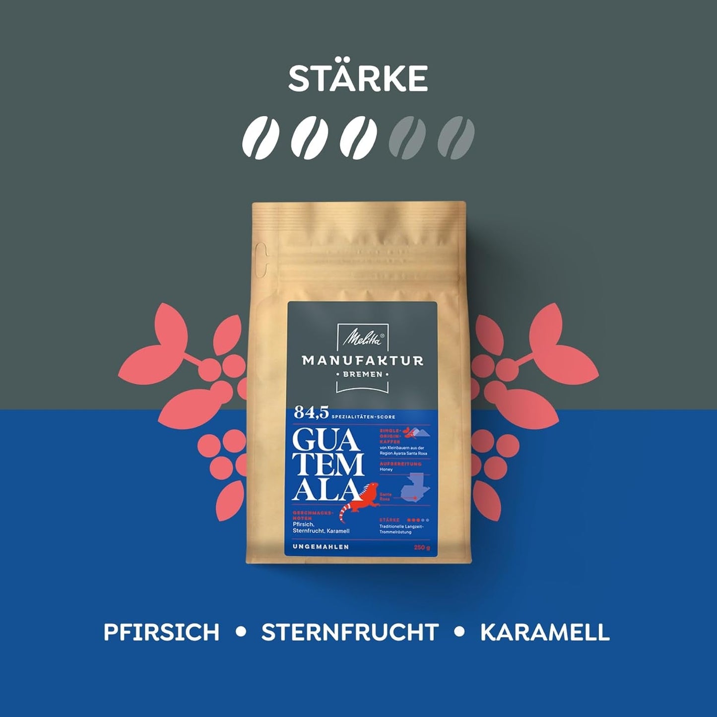 Melitta Manufaktur-Kaffee Guatemala Honey, Spezialitäten, 250 g, Ganze Bohnen, Ungemahlen, Single-Origin, Sanfte Trommelröstung, Geröstet in Deutschland, Stärke 3