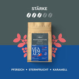 Melitta Manufaktur-Kaffee Guatemala Honey, Spezialitäten, 250 g, Ganze Bohnen, Ungemahlen, Single-Origin, Sanfte Trommelröstung, Geröstet in Deutschland, Stärke 3