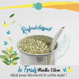 ORIGEENS BIO YERBA MATE S MÁTOU A CITRONEM 200 G - Čerstvost I Nepražené Bio Yerba Maté, listy, bez stonků a prachu