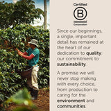 illy, Kaffee E.S.E. Podložky Einzeldosis CLASSICO, 100% Arabica s poznámkou von Orangenblüten und Jasmin, Sanfter Gesmack und Süßer Nachgeschmack, 1 Packung mit 18 compostierbaren kapselsn