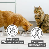 catz finefood Senior Collection Katzenfutter nass - Premium Nassfutter für Ihre Senior Katze - getreidefrei, bez Zucker, hoher Fleischanteil, Vitamine & Mineralien (6 x 200g dávka)
