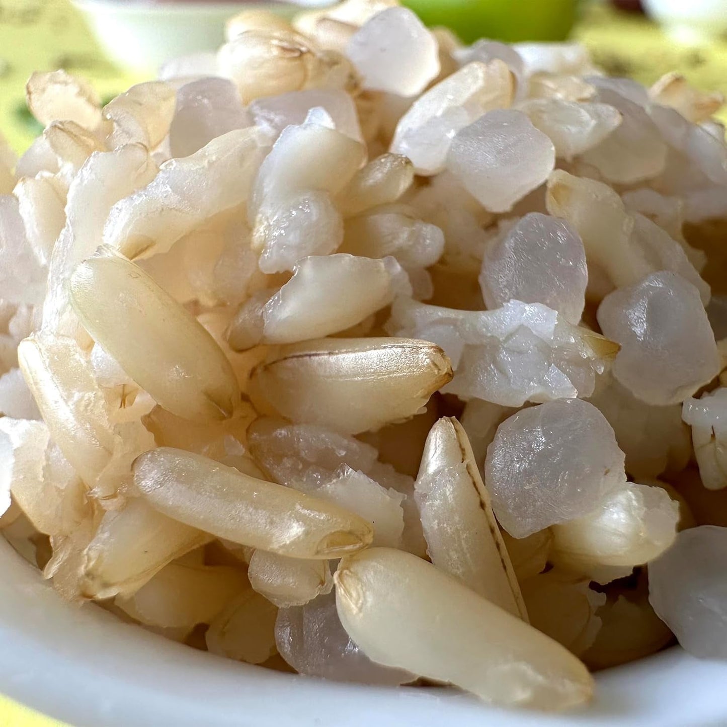 Elf-Family Konjak Reis Thai Brauner Shirataki Bowl -[Diätbox für 1 Wo.] - Instantní Jasmin Reis - Fertiggerichte für Mikrowelle - Natürlich Superfoods Mikronährstoffe - Vegan/Low Carb/Fettfrei- 6er Box