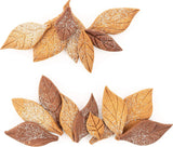 Silikomart, forma na sušenky Voila Cookie Leaves, 240 mm X 150 mm, výška 20 mm Kitchen Naty Shop