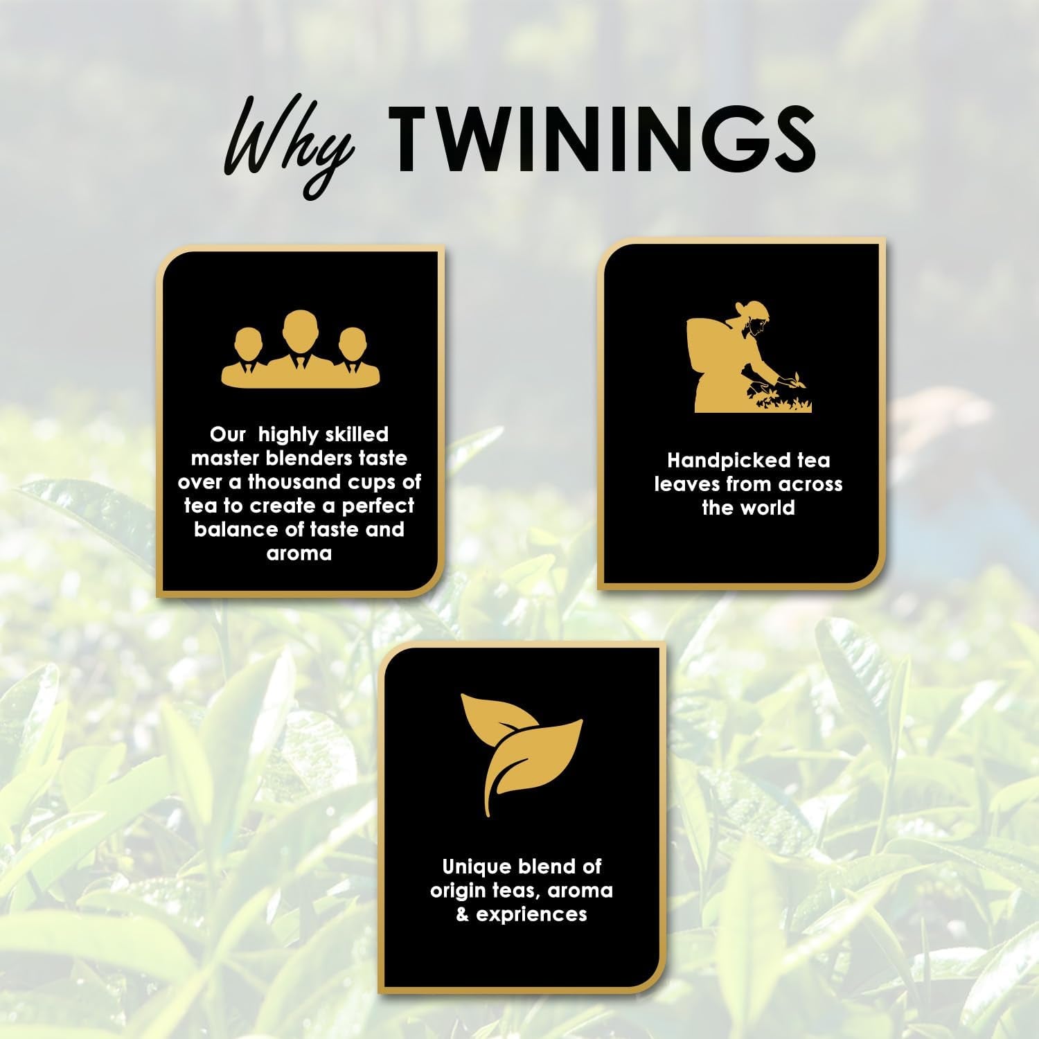 Twinings English Breakfast Black Tea 50g, 25 čajových sáčků, plný, kulatý a silný černý čaj z nejlepších čajových plantáží na Srí Lance a Indii. Černý čaj Balení 1 ks (1 x 50 g)