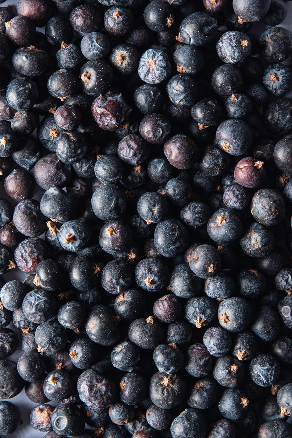 Biojoy plod jalovce bio (250 g), sušené a celé, bez přísad (Juniperus communis) Dehydrované produkty Naty Shop