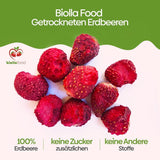biolla food celé sušené jahody, 0,5 kg, 100% přírodní. Zdravé svačiny pro děti. Ideální do smoothies, ovesných müsli, čajů a kaší. Dlouhá skladovatelnost. VEGANSKÉ, BEZLEPKOVÉ, RAW FOOD Dehydratované produkty Naty Shop
