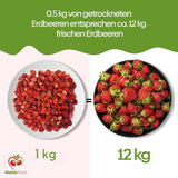 biolla food celé sušené jahody, 0,5 kg, 100% přírodní. Zdravé svačiny pro děti. Ideální do smoothies, ovesných müsli, čajů a kaší. Dlouhá skladovatelnost. VEGANSKÉ, BEZLEPKOVÉ, RAW FOOD Dehydratované produkty Naty Shop
