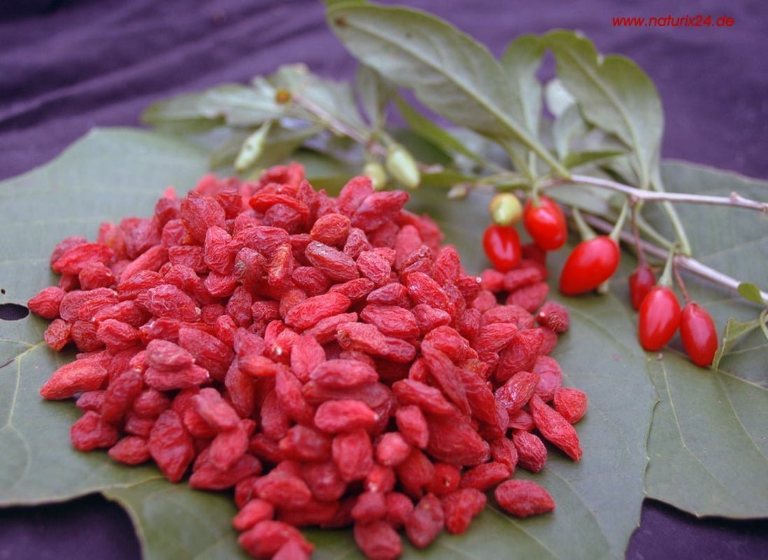 Sušené plody goji - aroma sáček, 1 balení (1 x 1 kg) Dehydrované produkty Naty Shop Výchozí název