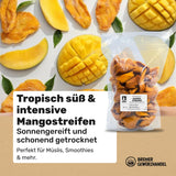 Bremer Gewürzhandel mango, sušené nudličky manga, nesířené, bez přidaného cukru, 1kg Dehydrované produkty Naty Shop