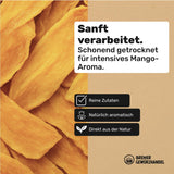Bremer Gewürzhandel mango, sušené nudličky manga, nesířené, bez přidaného cukru, 1kg Dehydrované produkty Naty Shop