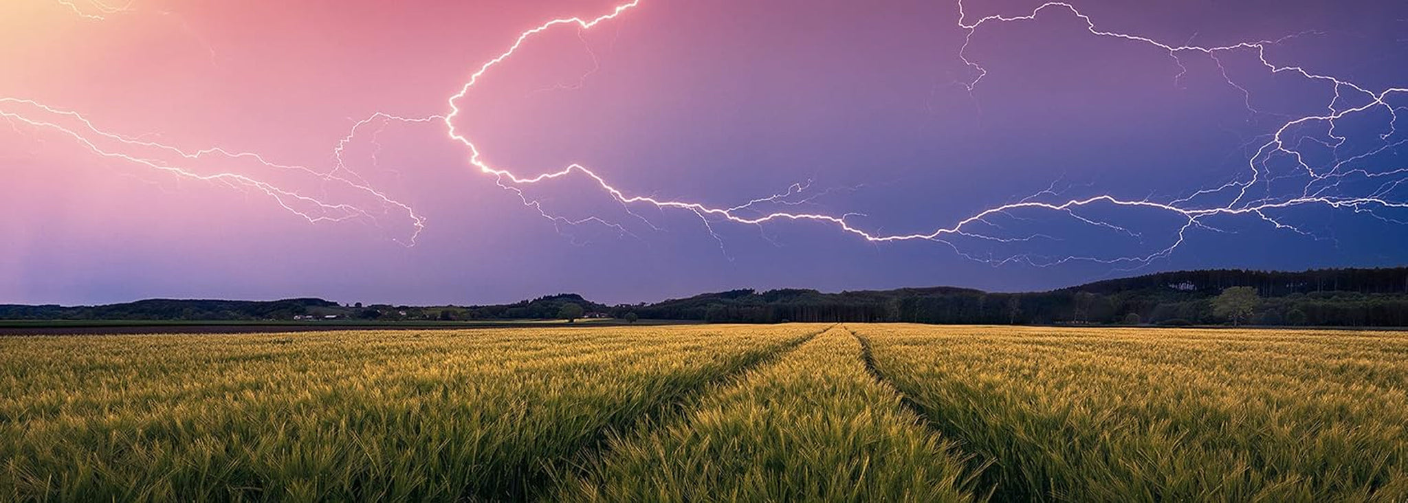 Ravensburger Nature Edition 17491 Summer storm - 500dílné puzzle pro dospělé a děti od 12 let Puzzle Naty Shop
