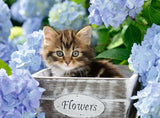 Dětské puzzle Ravensburger - 12894 Little Cat - Puzzle zvířátka pro děti od 9 let, s 300 dílky ve formátu XXL Puzzle Naty Shop
