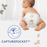 Douceur Naturelle - Kalhotky, Velikost 6 (16-26 kg) Balení 1 měsíc - 112 kalhotek