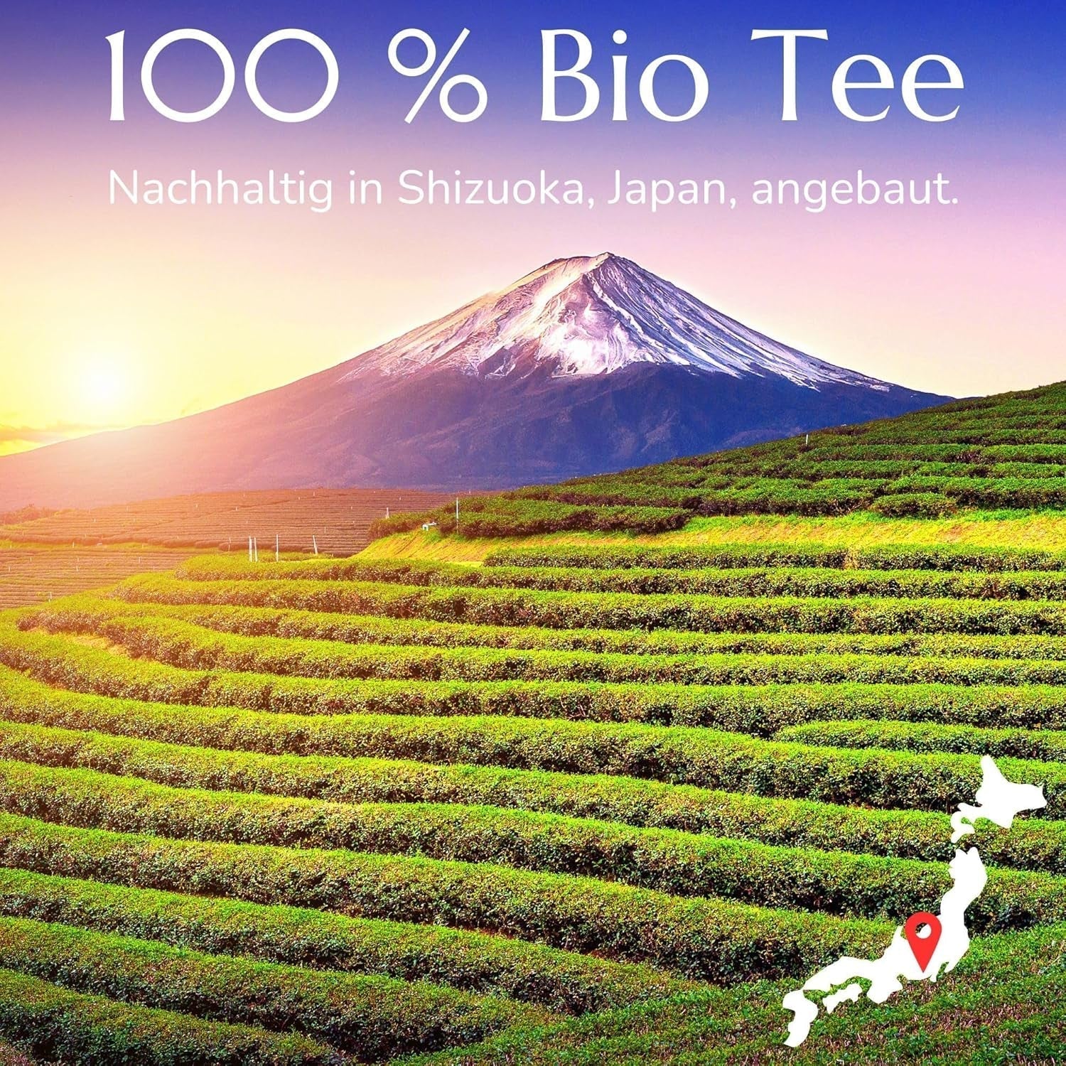 Anna'S Teapot Sencha Bio sáčky zeleného čaje - Bio japonský zelený čaj 20 pyramidových sáčků v uzavíratelném sáčku