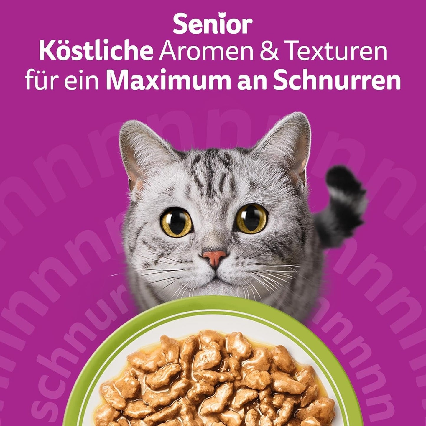 Whiskas Senior 7+ mokré krmivo Mixed Selection in Jelly, 84 sáčků, 84x85g (1 velké balení) - Vysoce kvalitní mokré krmivo pro kočky od 7 let