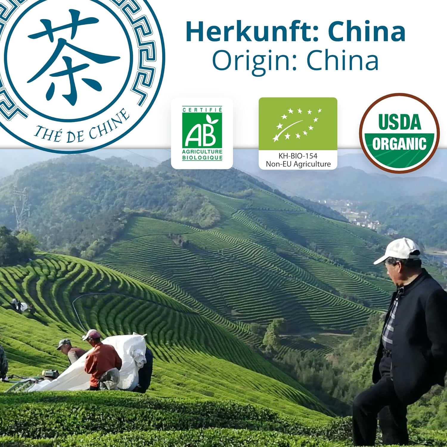 Khla - Bio Oolong Tea 100 G - Modrý čaj - Přírodní sypaný čaj - Organický asijský čaj - Sypaný a řezaný - Bylinný a louhovaný čaj - Z Číny