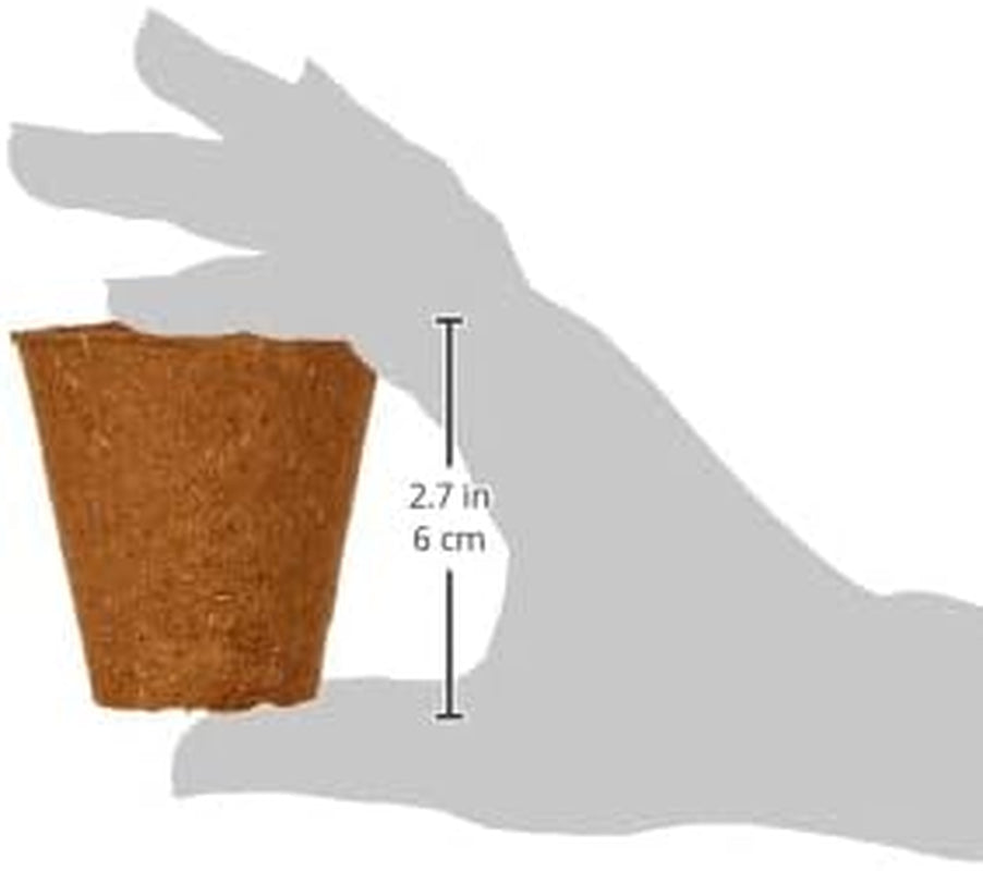 Dehner květináče na sazenice, kulaté, Ø 6 cm, 96 kusů, hnědé