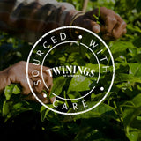 Twinings SWEET DREAMS Heřmánkový čaj s medem, pomerančem a lipovým květem - sladká směs bylinných čajů pro přirozené zlepšení spánku, 12 balení (10 čajových sáčků každý)