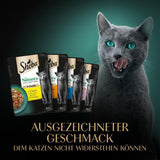 SHEBA Nature's Collection v omáčce – vysoce kvalitní mokré krmivo pro kočky, jemné odrůdy (MSC) v porcovaných sáčcích – 72 x 85 g