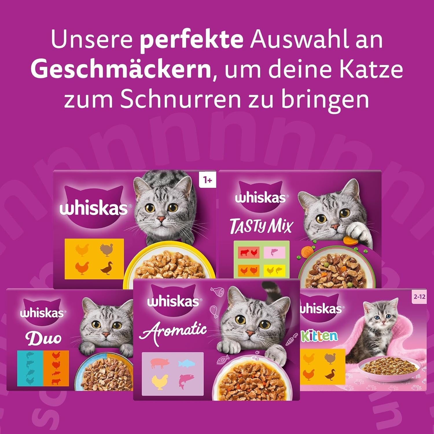 Whiskas Senior 7+ mokré krmivo Mixed Selection in Jelly, 84 sáčků, 84x85g (1 velké balení) - Vysoce kvalitní mokré krmivo pro kočky od 7 let
