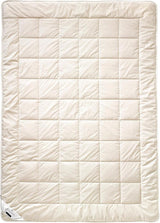 Billerbeck E45 Bambusová přikrývka - letní přikrývka - 135 X 200 Cm - bavlněná přikrývka, chladivá přikrývka - s bambusovou výplní, lehká letní (Sl) Přikrývky a přikrývky Naty Shop Teplé (Š) 135 X 200 Cm