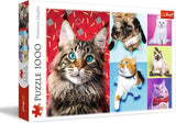 Skládačka - "1000" - Portréty vtipných psů Puzzle Naty Shop Legrační kočky