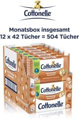 Vlhčené ubrousky, můj zážitek z lázní – kašmír a bambucké máslo, biologicky odbouratelné, bez plastů, znovu uzavíratelné, výhodné balení, 12 x 42 vlhčené ubrousky