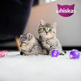 Whiskas Junior Classic Selection Mokré krmivo pro kočky v omáčce, 48 sáčků, 12 x 85 g (balení 4 ks) - Vysoce kvalitní vlhké krmivo pro rostoucí kočky, 2 až 12 měsíců