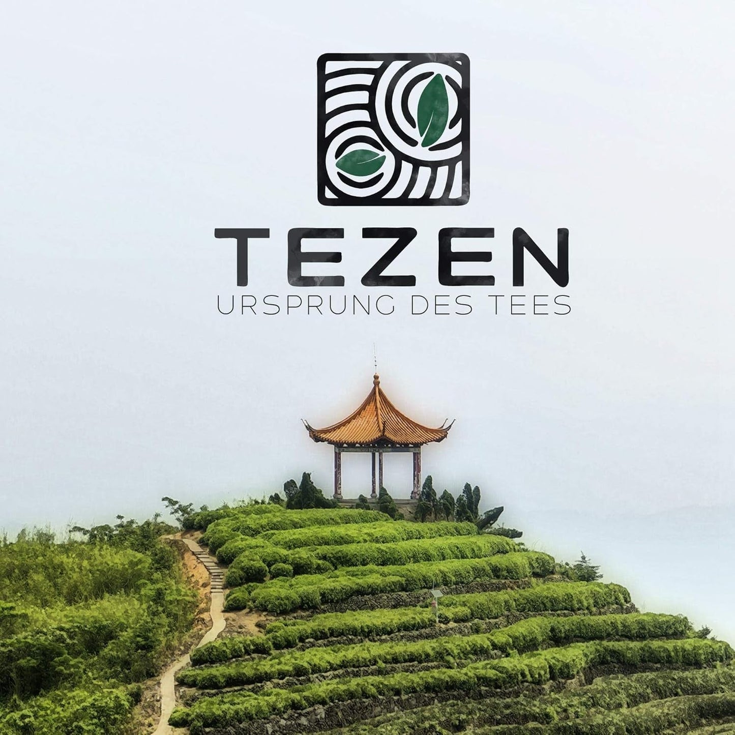Čaj Tie Guan Yin Oolong z Anxi, Čína | Sklizeň 2025 | Vysoce kvalitní čínský čaj Oolong | Prémiový čínský čaj z tradičních plantáží 100 g