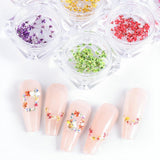 EYVRPAU 6 Stück Nail Art Sada květin Dekorace, Gelnägel Zubehör 6 Farben, Nail Art Aufkleber Trockene Blumen Kit Getrocknete Blumen Zubehör Set DIY Nageldekoration