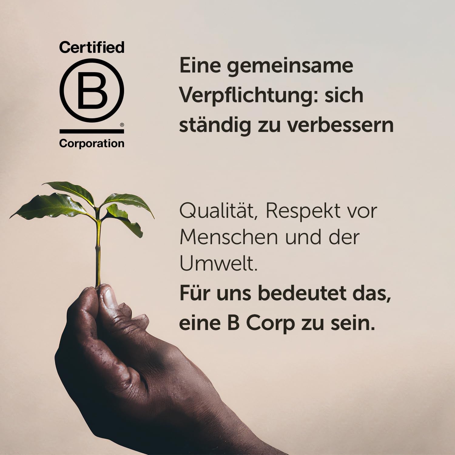 Illy Arabica Selection Guatemala zrnková káva k mletí, krabička 250g
