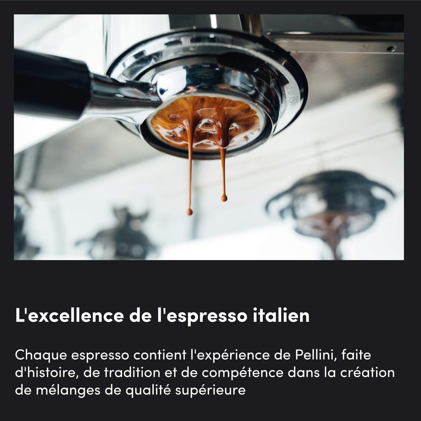 pellini č. 82 Vivace Coffee Beans 500 g