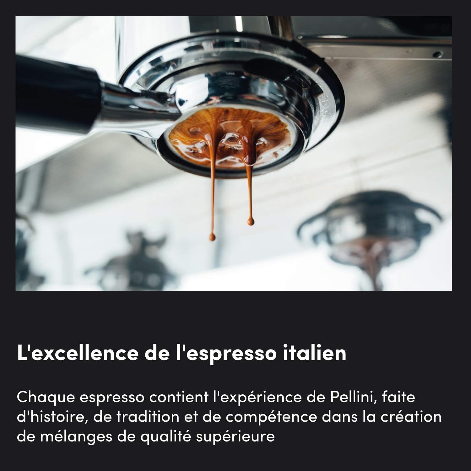 pellini č. 82 Vivace Coffee Beans 500 g