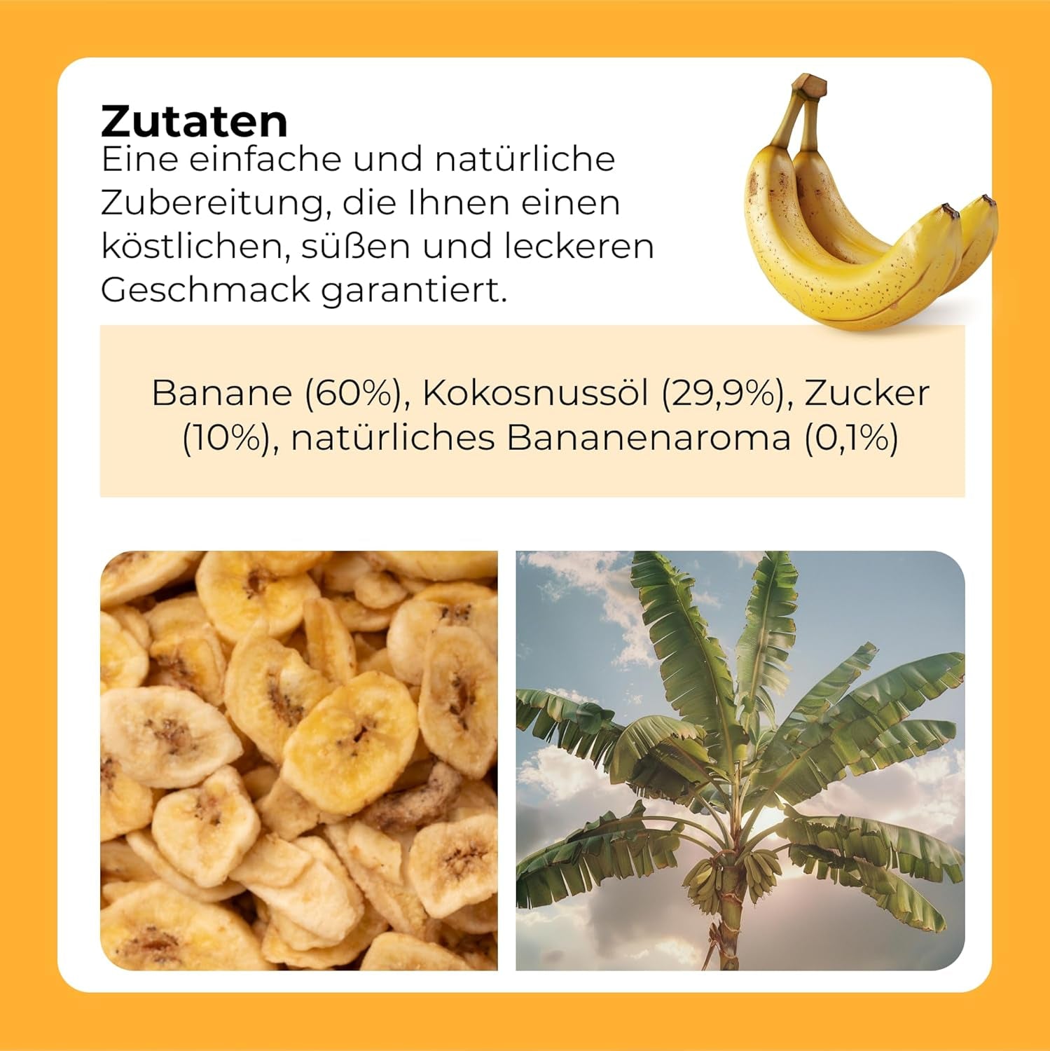 Banánové lupínky 1 kg | Křupavé plátky banánových lupínků se sušeným ovocem | zdravá svačina s lahodnou chutí | Dehydrované produkty Naty Shop